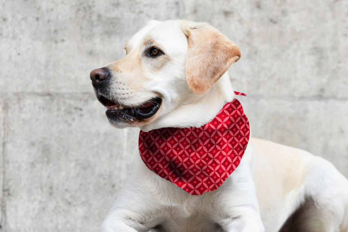 Bandana in Festive Red