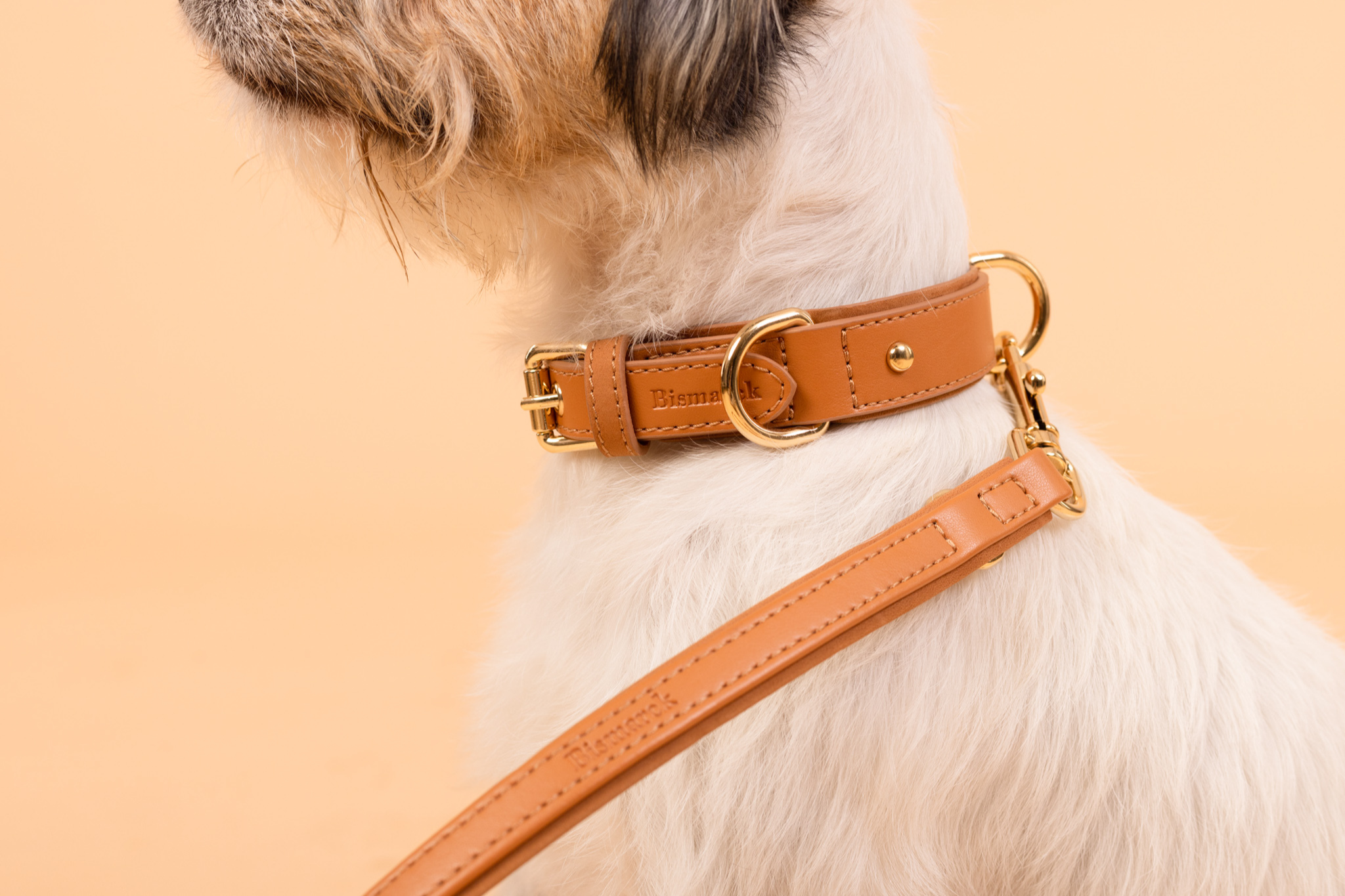 Halsband aus Apfelleder in Kamel