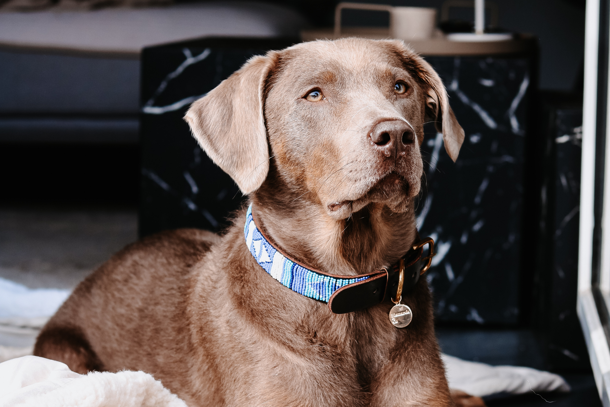 Beaded Collar | Blue Ocean