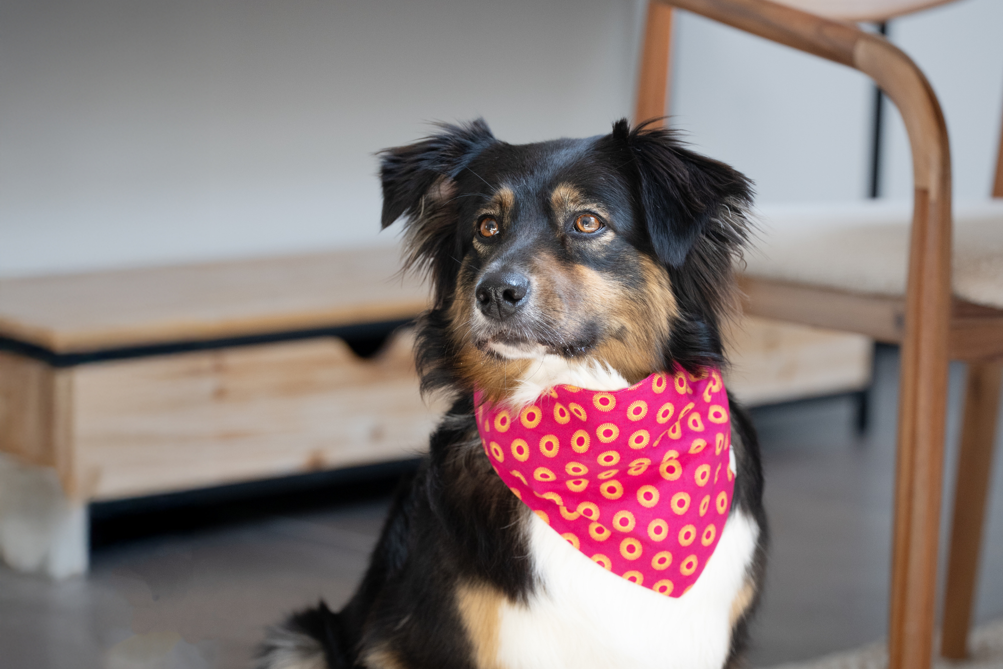 Bandana in Pinkem Shweshwe