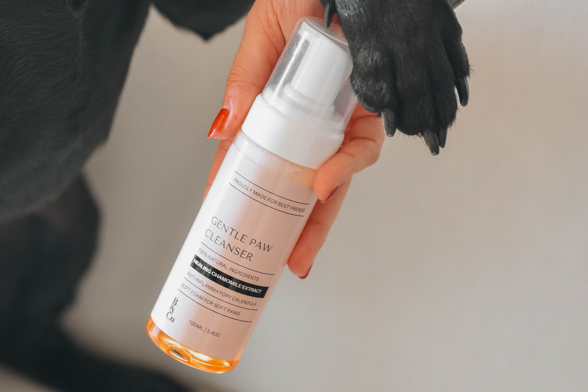 The Naturally Clean Kit