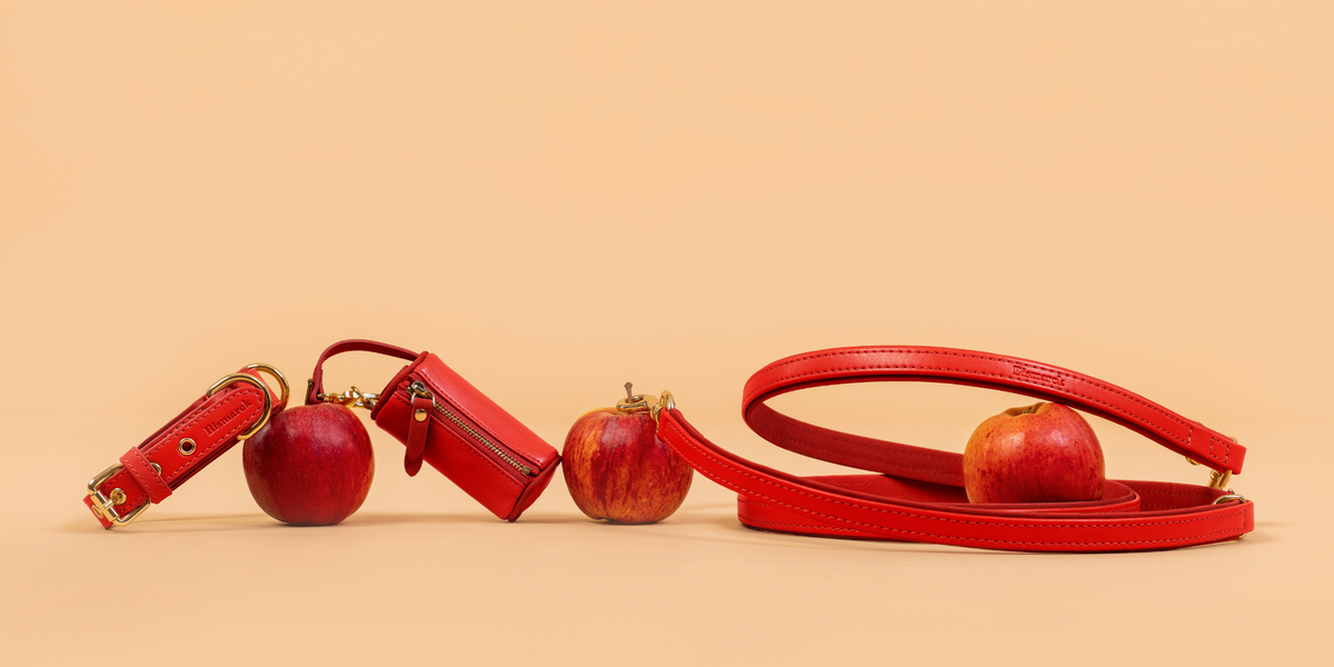 Scotland Collection- Festive Red
