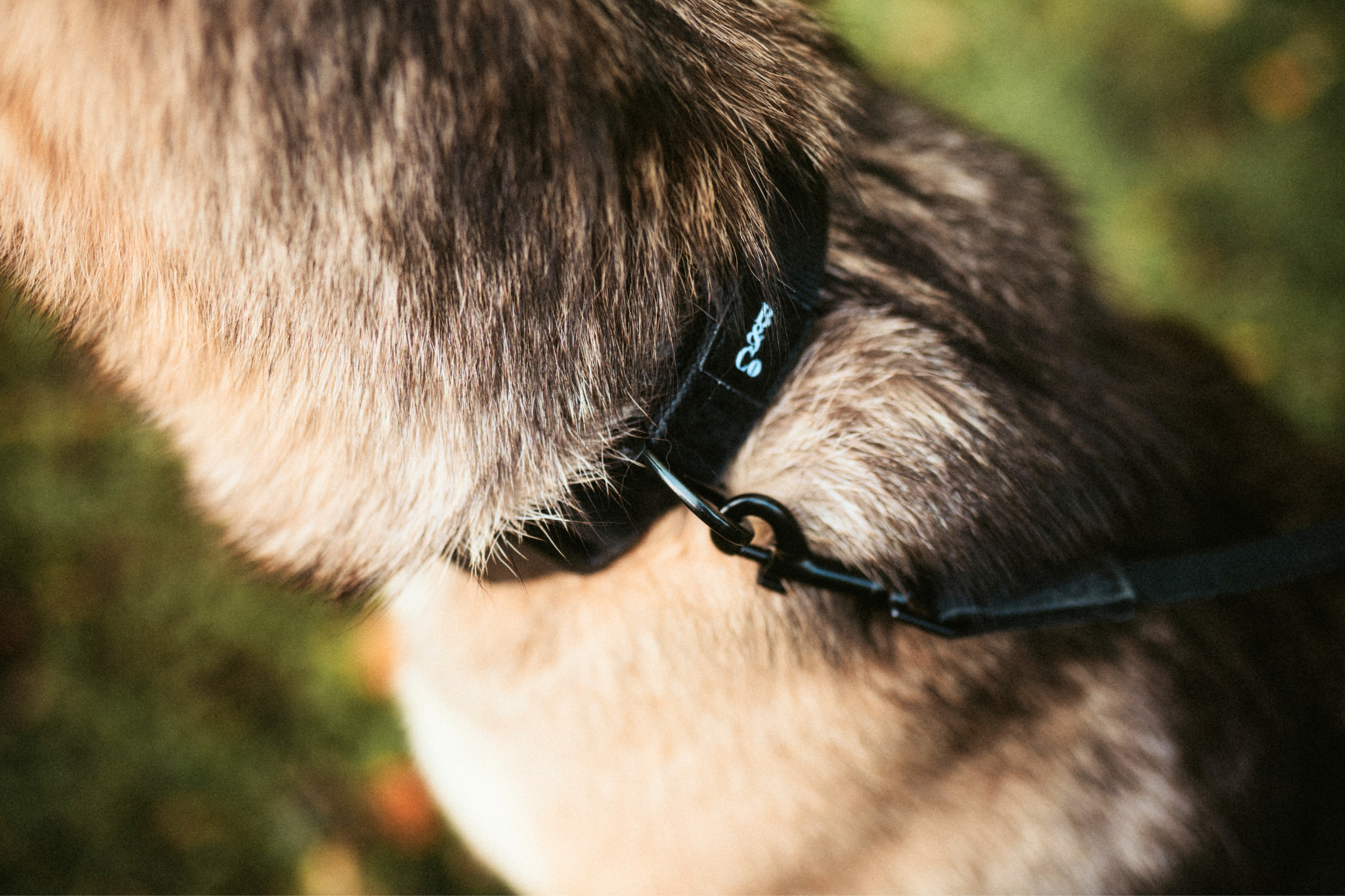 Streetstyle Halsband in Schwarz & Schwarz