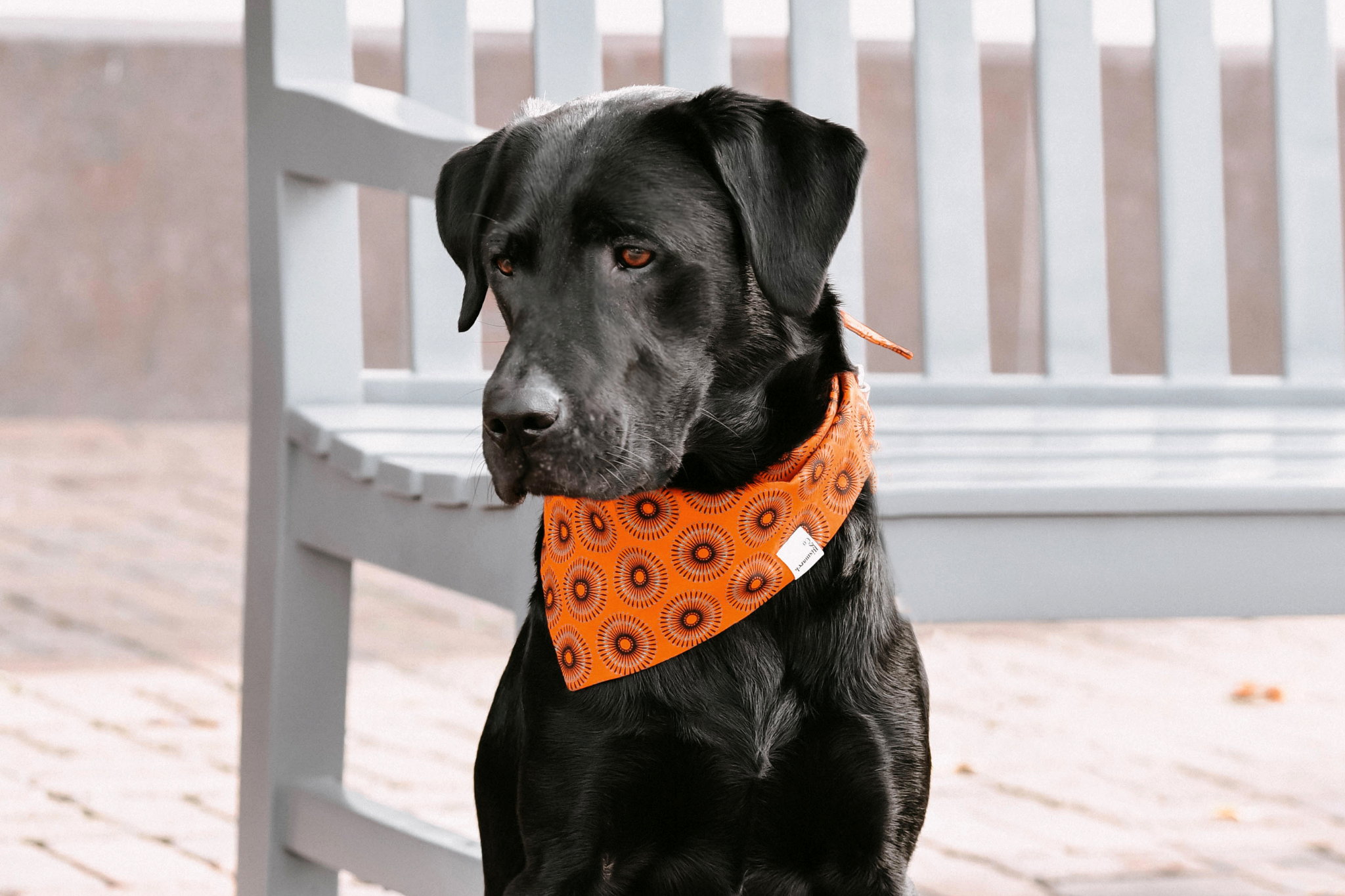 Bandana in Orangem Shweshwe