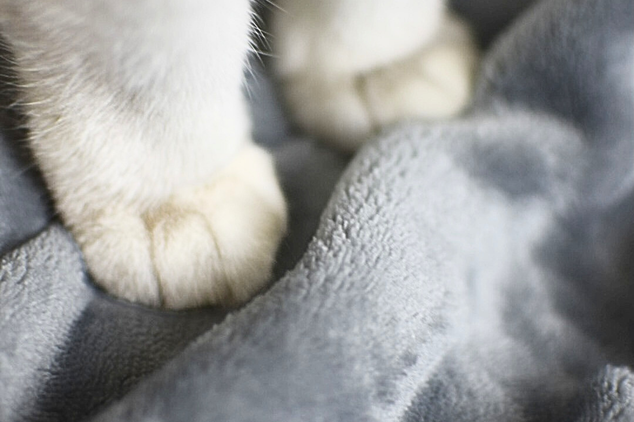 Weiche Fleece-Decke in Hellgrau
