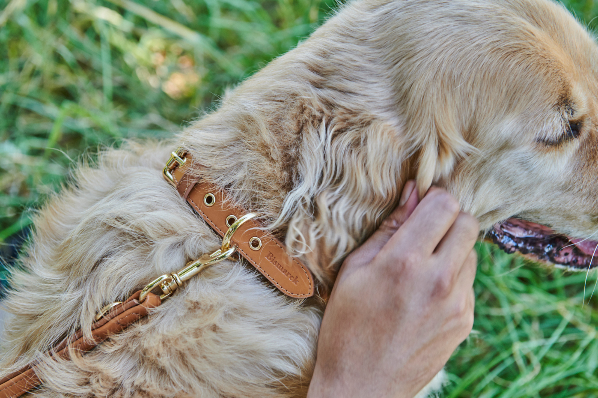 Halsband aus Apfelleder in Kamel