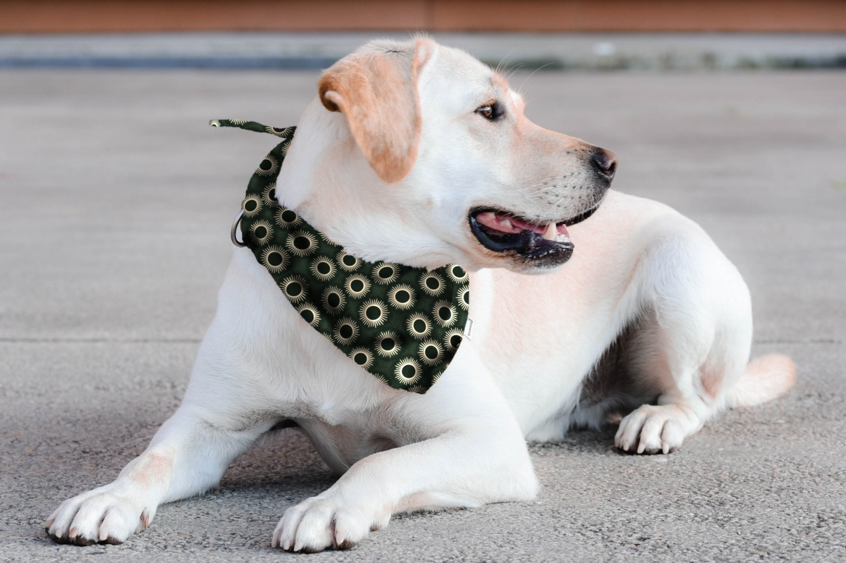 Bandana in Winter Green