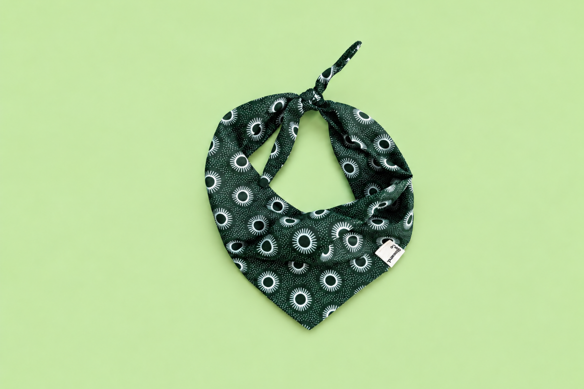 Bandana in Winter Green