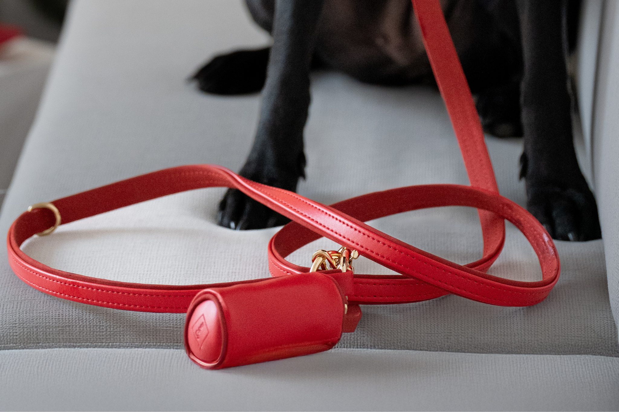 Apple Leather Poop Bag in Festive Red