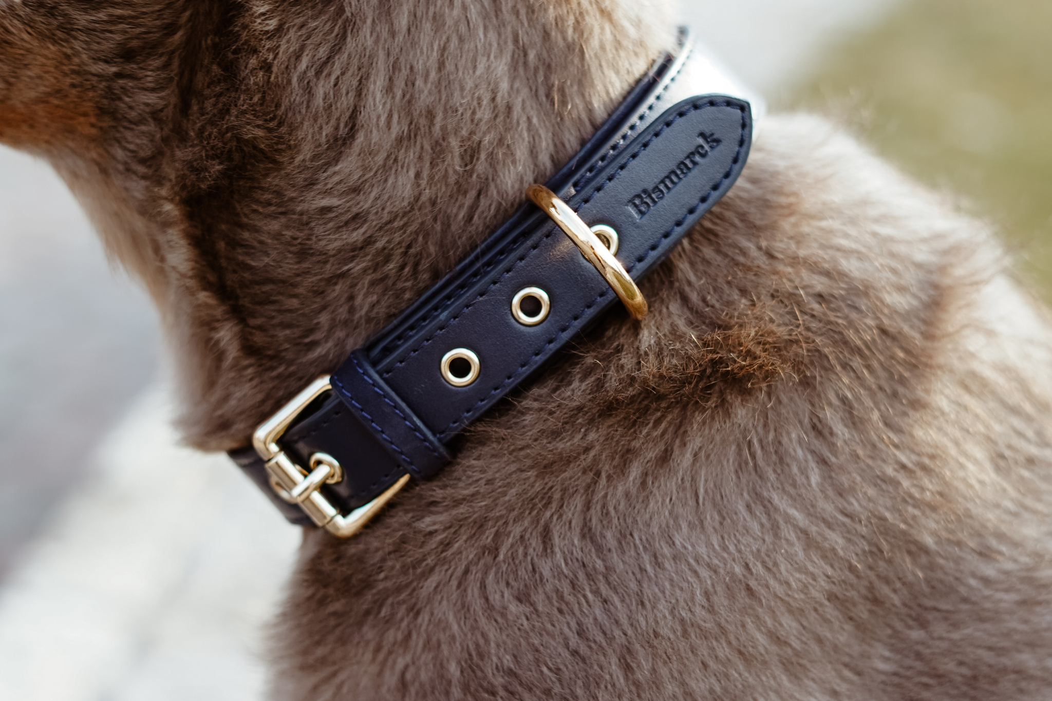 Halsband aus Apfelleder in Königsblau