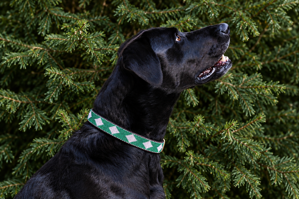 Beaded Collar | Green & White